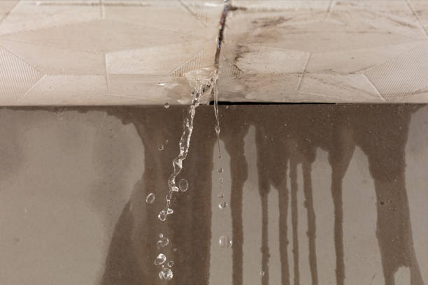 Professional Burst Pipe Cleanup technician working in Pleasant Hill, TX